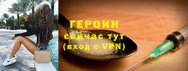 индика Инта