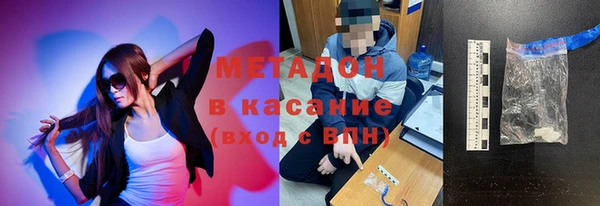шишки Каменногорск