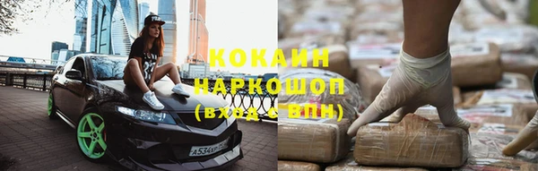 индика Инта