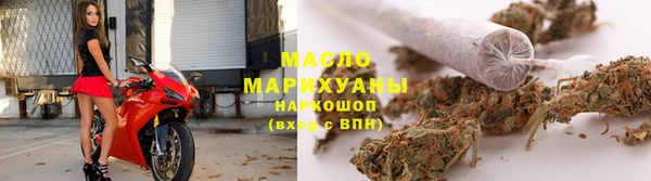 шишки Каменногорск