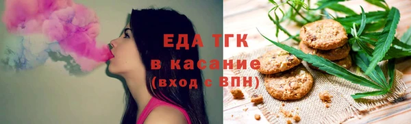 индика Инта