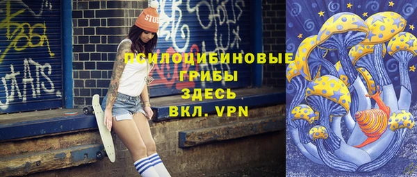 шишки Каменногорск