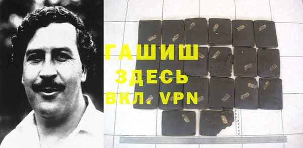 индика Инта