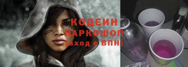 мдпв Иннополис