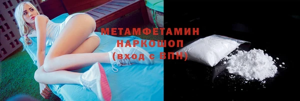 индика Инта