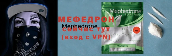 индика Инта