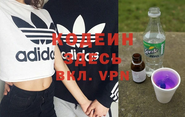 индика Инта