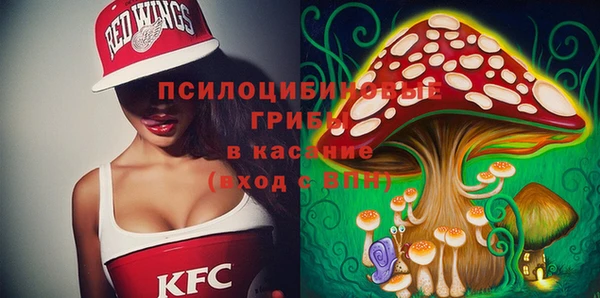 мет Каменка