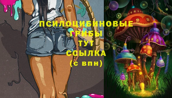 мет Каменка