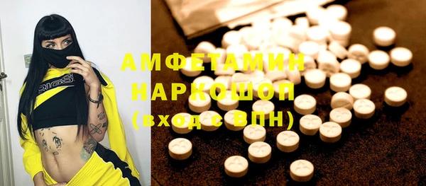 шишки Каменногорск