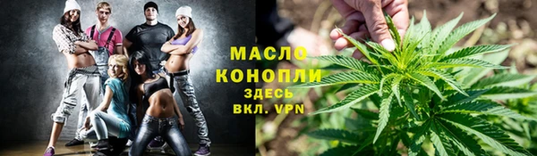 шишки Каменногорск