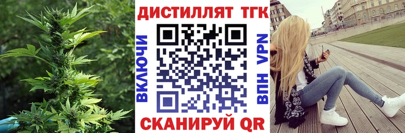 Купить закладки  Пудож  Дистиллят ТГК гашишное масло 