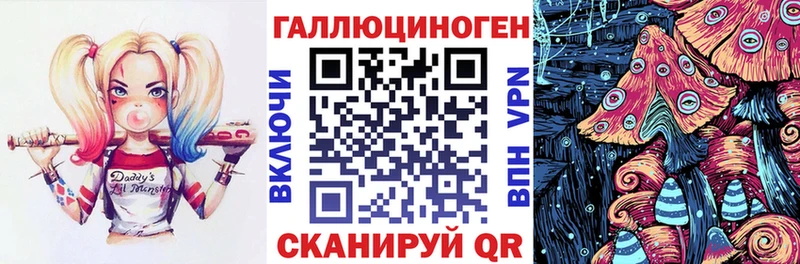 Галлюциногенные грибы Cubensis Купить закладки Пудож